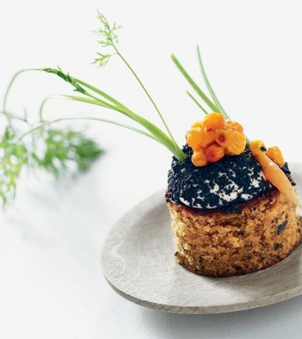 Gulerodskage med havtorn og maltjord