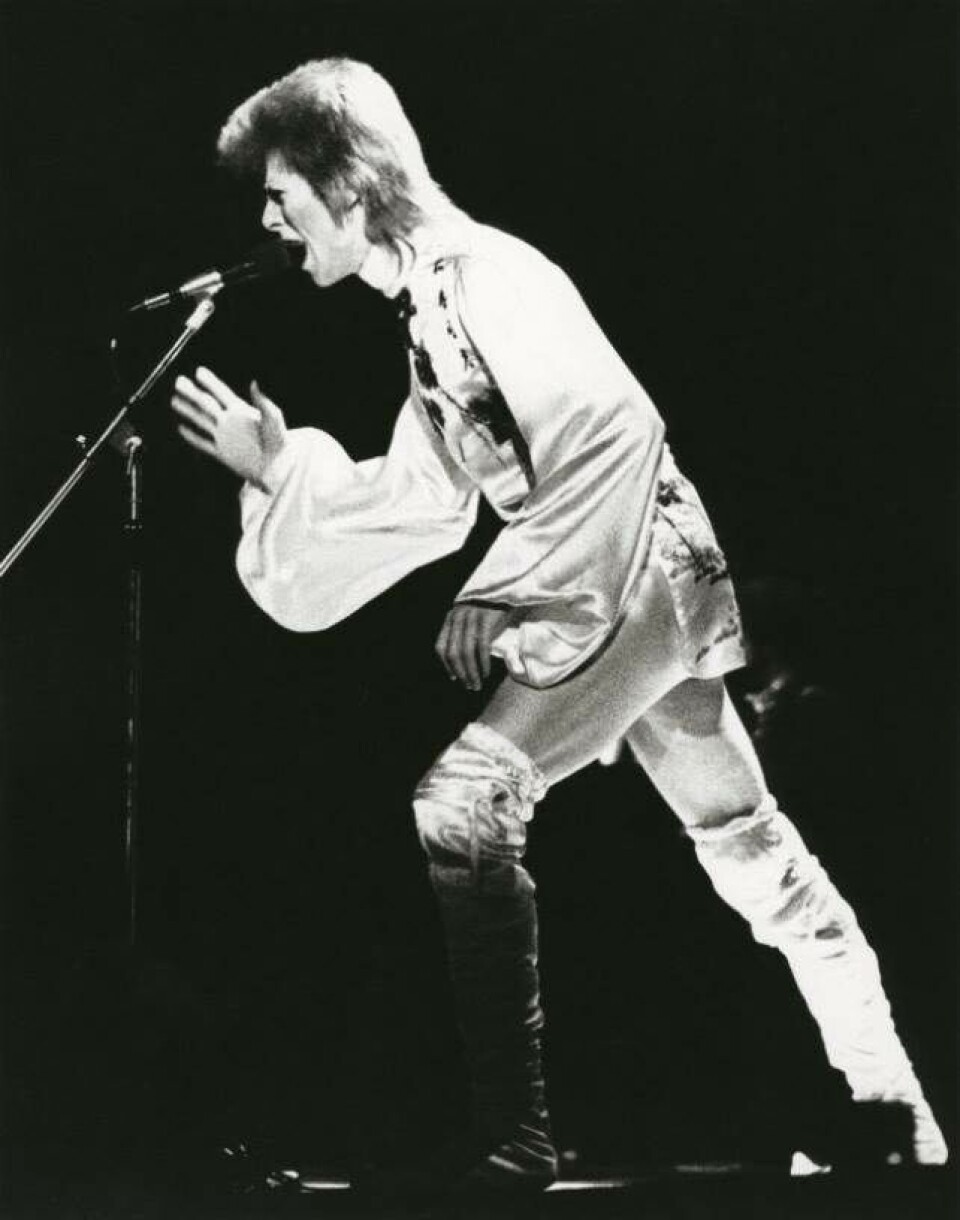 Mig og Bowie: 11 mænd om mødet med stjernen