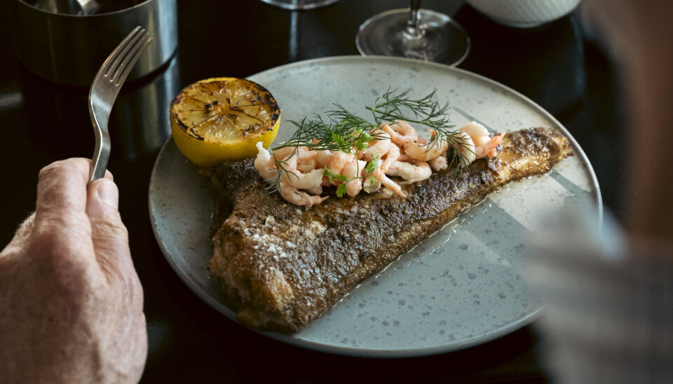 Bliv genforelsket i vores hovedstad: Her er København og omegns bedste restauranter, oplevelser og hoteller