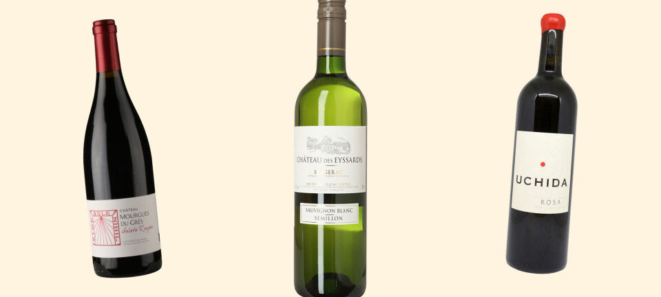 Det behøver ikke være dyrt for at være godt: Her er tre gode glas fransk vin i tre prislejer