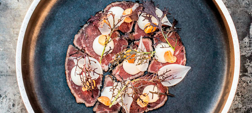 Seks stjerner: Denne restaurant i Aalborg imponerer