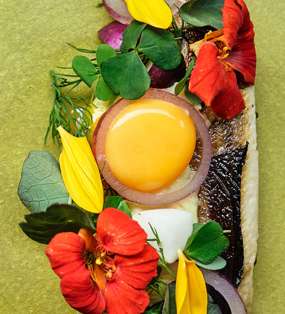 Ny restaurant i Tivoli: Alt er i top på Restaurant Glassalen. Men det er prisen også