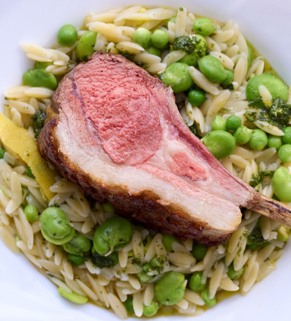En frisk forårsret: Mør lammekrone med orzo, cremede hestebønner og friske ærter