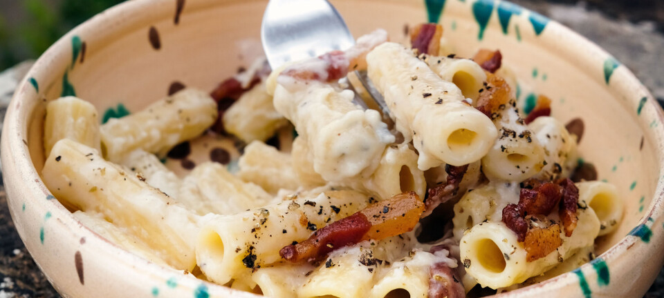 Vil du servere pasta som hos Fabro? Prøv deres gricia med peber, pecorino og guanciale