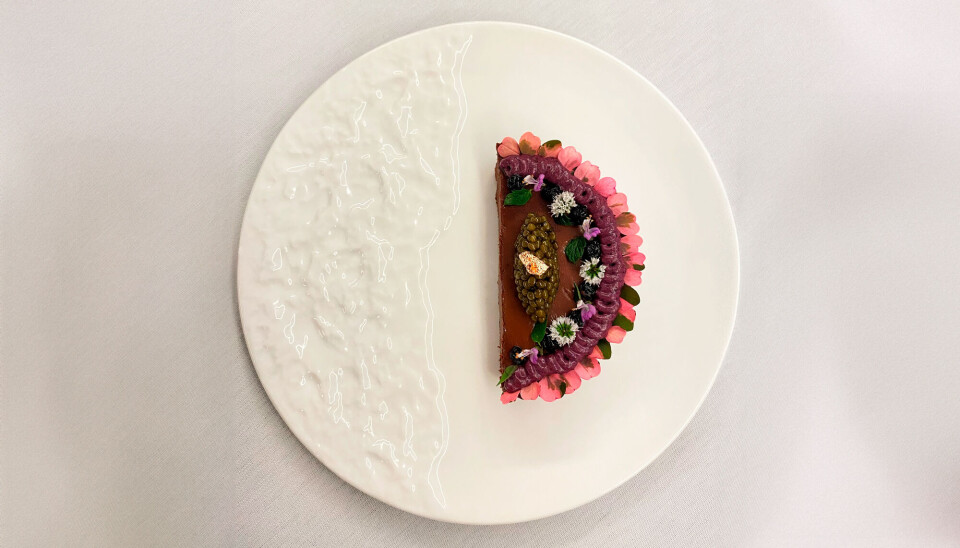 Årets michelinstjerner er uddelt. Her er alle de nye vindere