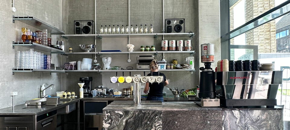 Ostemadder og havregryn: Københavns (måske) sejeste café åbner på Papirøen
