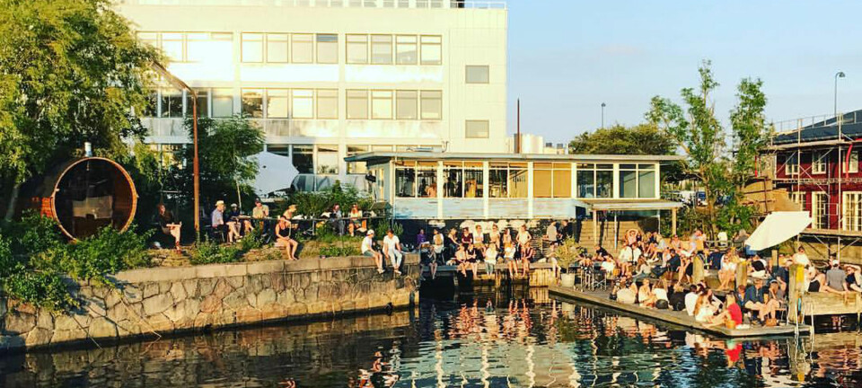 Sol på næsen: Her er de allerbedste solspots i København og Aarhus