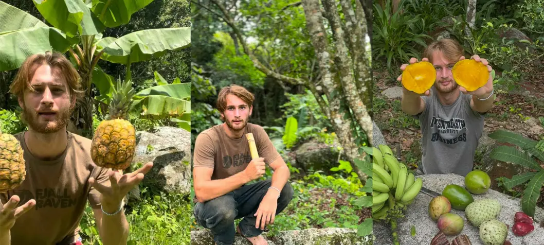 Danske Robert vil bo i en træhytte i Colombias jungle: ”Min fars store spørgsmål var, hvordan jeg skulle tjene penge”