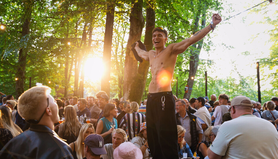 Kom med på arbejde i Smukfests vildeste bar: ”Vi har en flaske til 29.000, og den skal sgu nok blive nappet”