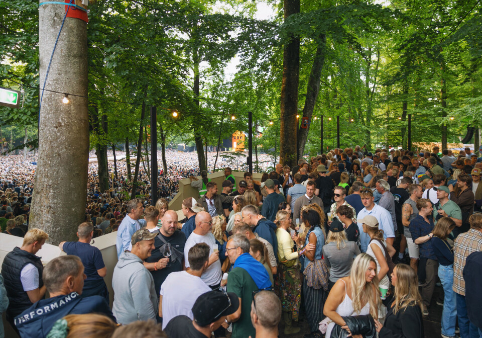 Kom med på arbejde i Smukfests vildeste bar: ”Vi har en flaske til 29.000, og den skal sgu nok blive nappet”