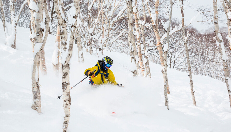 Fra Japan til Hemsedal: Her er 4 steder til din næste skitur